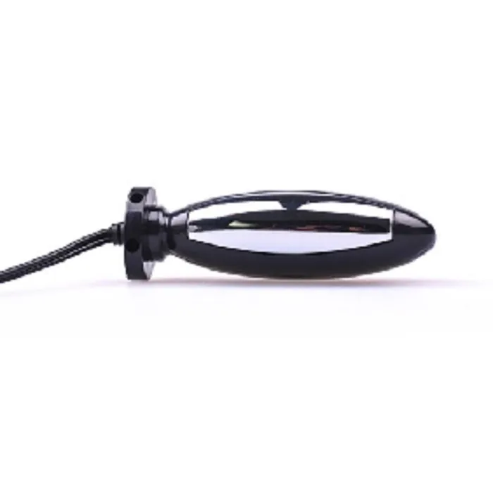 E2B Anal | shock therapy plug