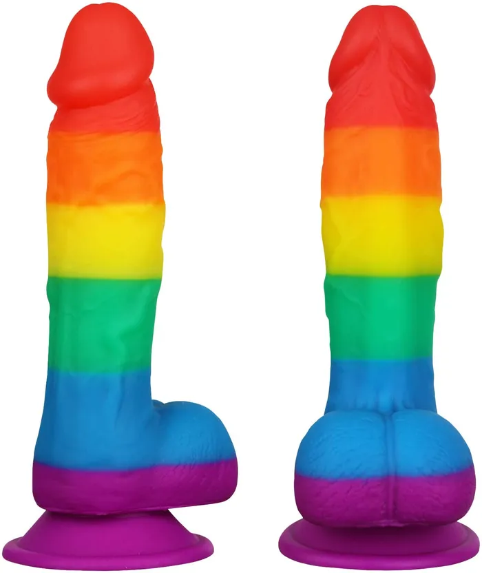 Lusty Age Rainbow Soft Big Realistic Silicone Dildo | Dildos
