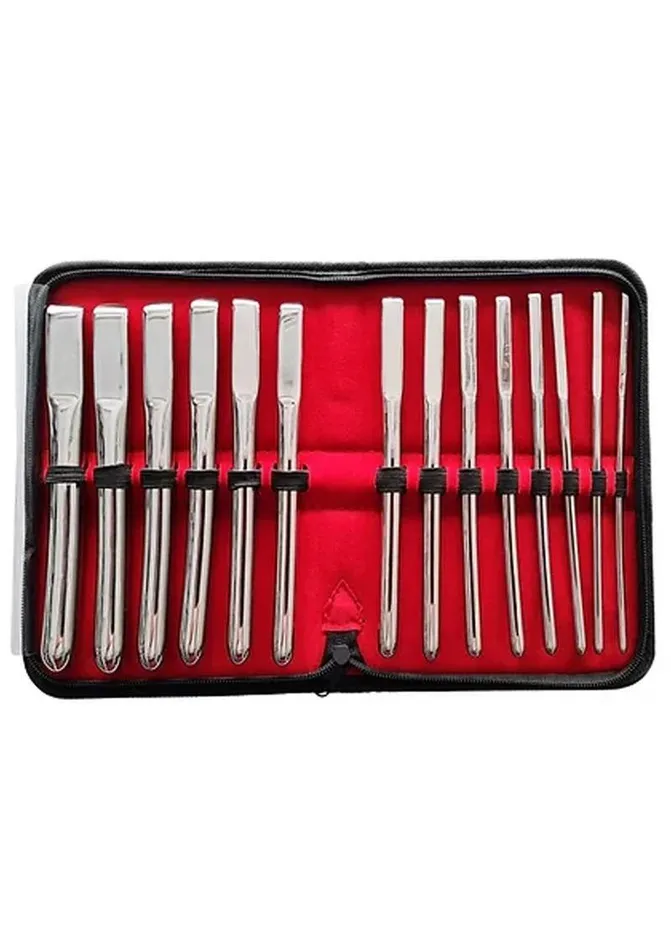 Rouge Hegar Urethral Steel Dilator Set Rouge Male Sex Toys