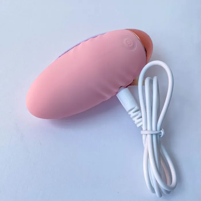 Wireless Remote Control Egg Vibrator with Heating Function Eccentric Playroom Essentials Female Sex Toys