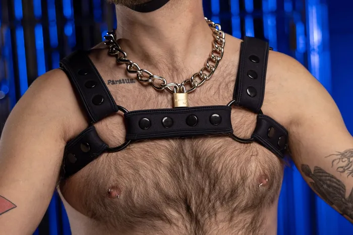 Harness Black Bulldog in Neo Carbon Mr S Leather Female Sex Toys