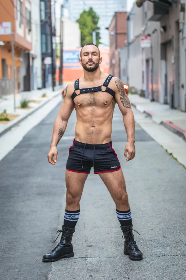 Harness Black Bulldog in Neo Carbon Mr S Leather Female Sex Toys