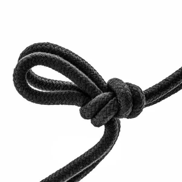 Explore Sensual Bondage with Temptasia Bondage Rope 32 ft Blush Novelties Couples