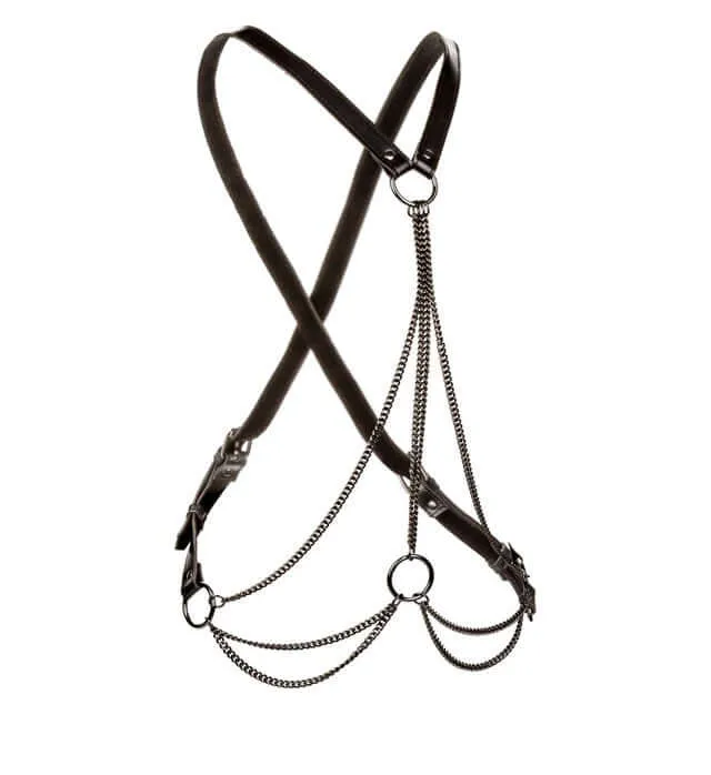 Female Sex Toys Euphoria Collection Multi Chain Harness Adjustable Cross Back Design California Exotic Novelties