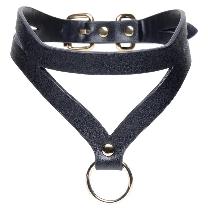 Master Series Bondage Baddie Collar and ORing XR Brands Couples