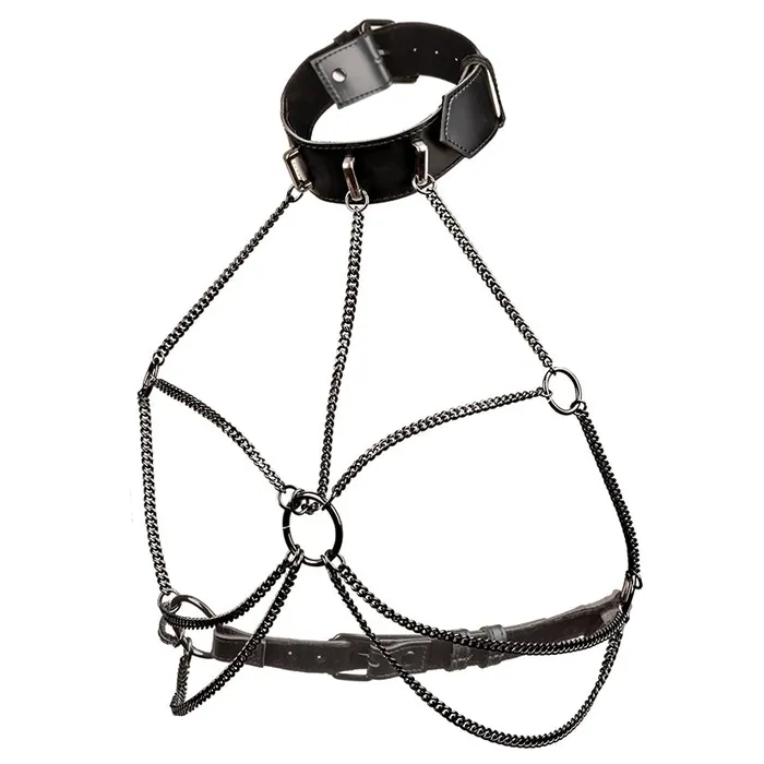 Plus Size CAL EXOTICS Euphoria Collection Plus Size Multi Chain Collar Harness