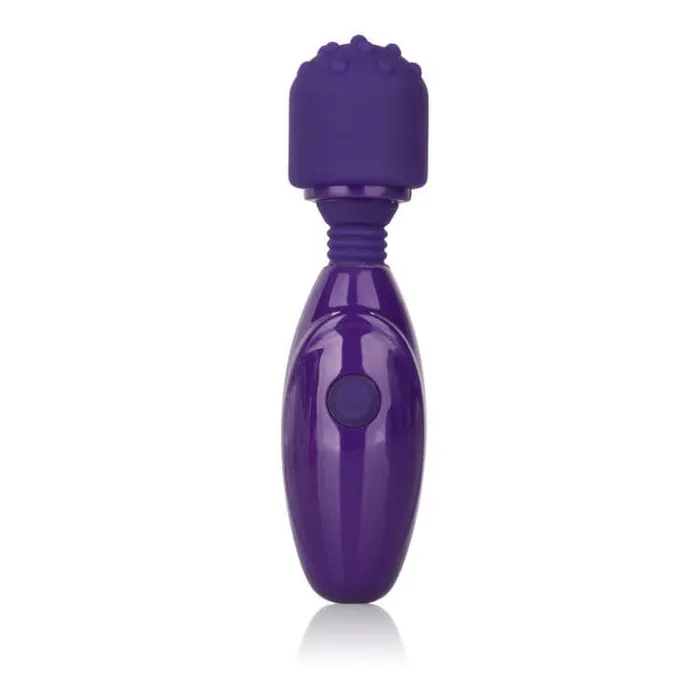 Tiny Teasers Nubby Vibrator Purple California Exotic Novelties Vibrators