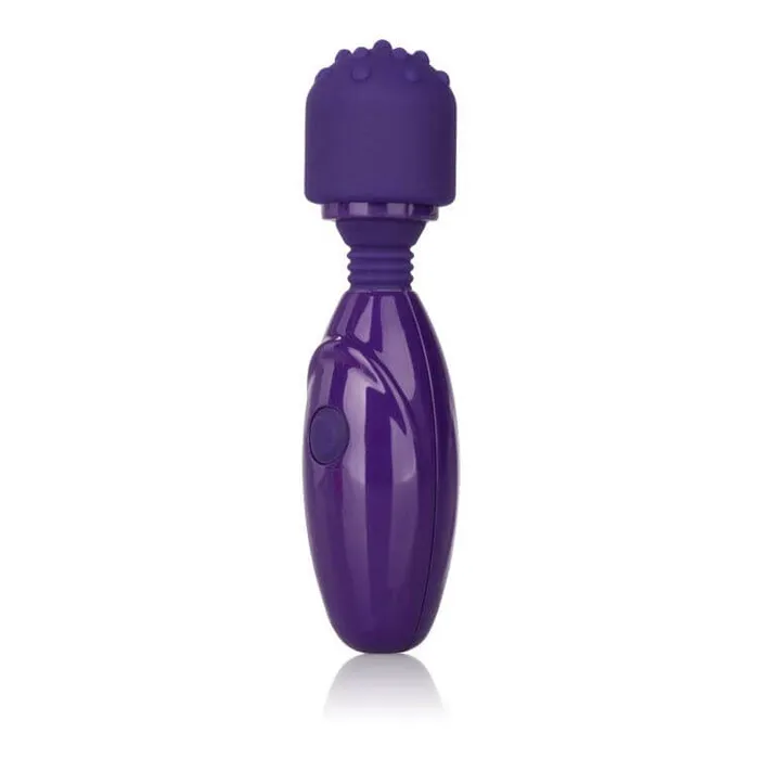 Tiny Teasers Nubby Vibrator Purple California Exotic Novelties Vibrators