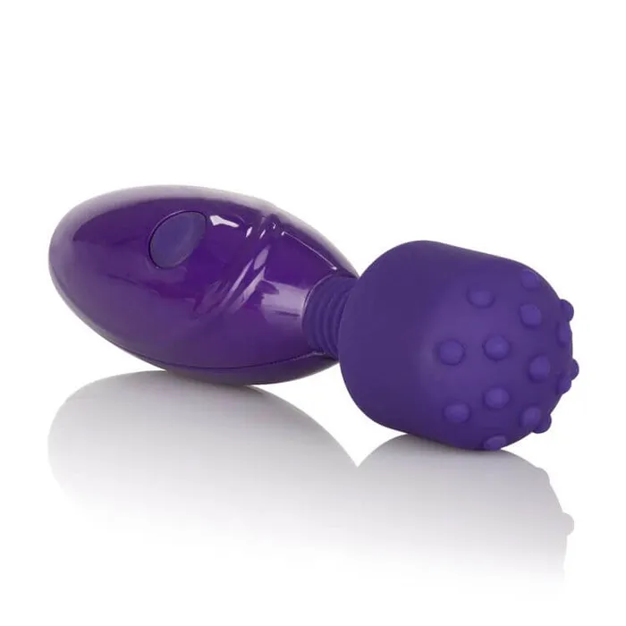 Tiny Teasers Nubby Vibrator Purple California Exotic Novelties Vibrators