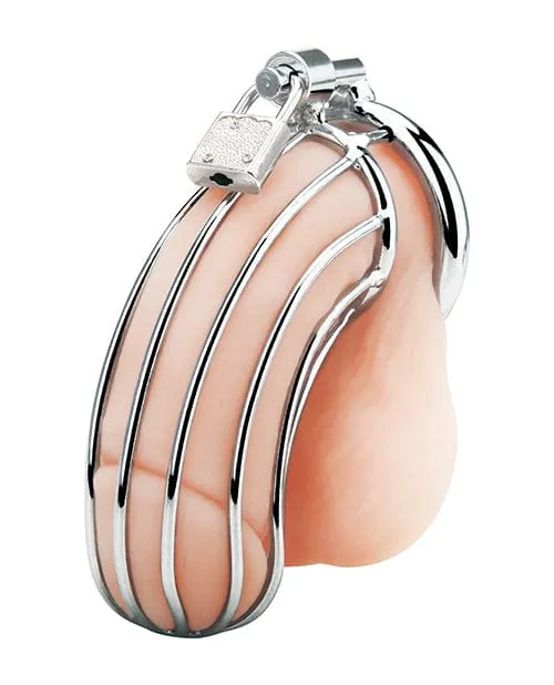 Blue Line Prisoner Cock Cage Silver Blue Line Male Sex Toys Blue Line Prisoner Cock Cage Silver Blue Line Male Sex Toys