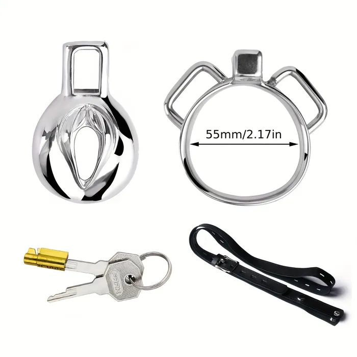 FRRK138 Stainless Chastity Cage Device 4 Size Penis Ring Wearable Cock Lock FRRK Male Sex Toys