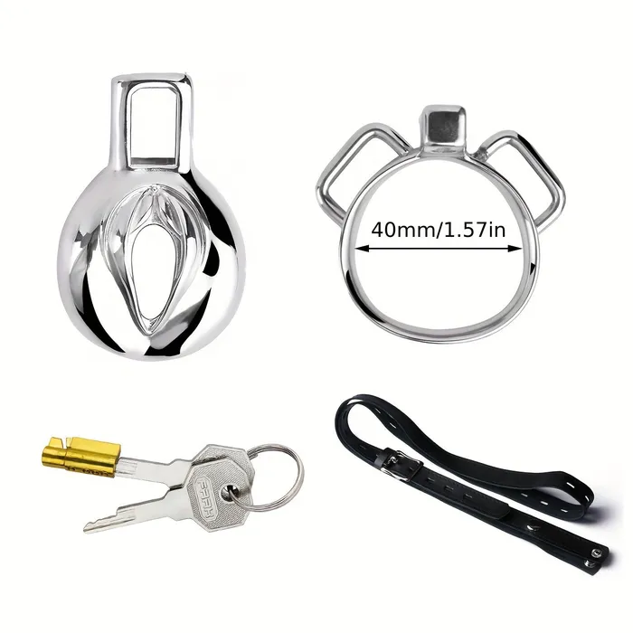FRRK138 Stainless Chastity Cage Device 4 Size Penis Ring Wearable Cock Lock FRRK Male Sex Toys