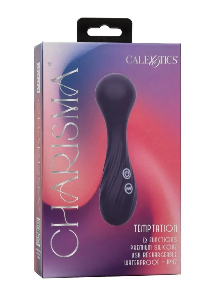 Female Sex Toys Charisma Temptation Rechargeable Silicone Massager Wand Charisma Female Sex Toys Charisma Temptation Rechargeable Silicone Massager Wand Charisma