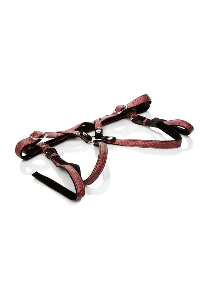 Female Sex Toys Her Royal Harness Her Royal Harness The Regal Duchess Adjustable Harness Female Sex Toys Her Royal Harness Her Royal Harness The Regal Duchess Adjustable Harness