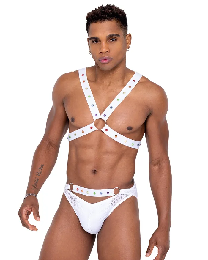 Female Sex Toys Roma Costume Inc 6340 Mens Pride CrissCross Swim Briefs Female Sex Toys Roma Costume Inc 6340 Mens Pride CrissCross Swim Briefs